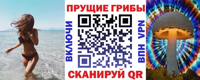 Галлюциногенные грибы Psilocybe  Купить  Воткинск 